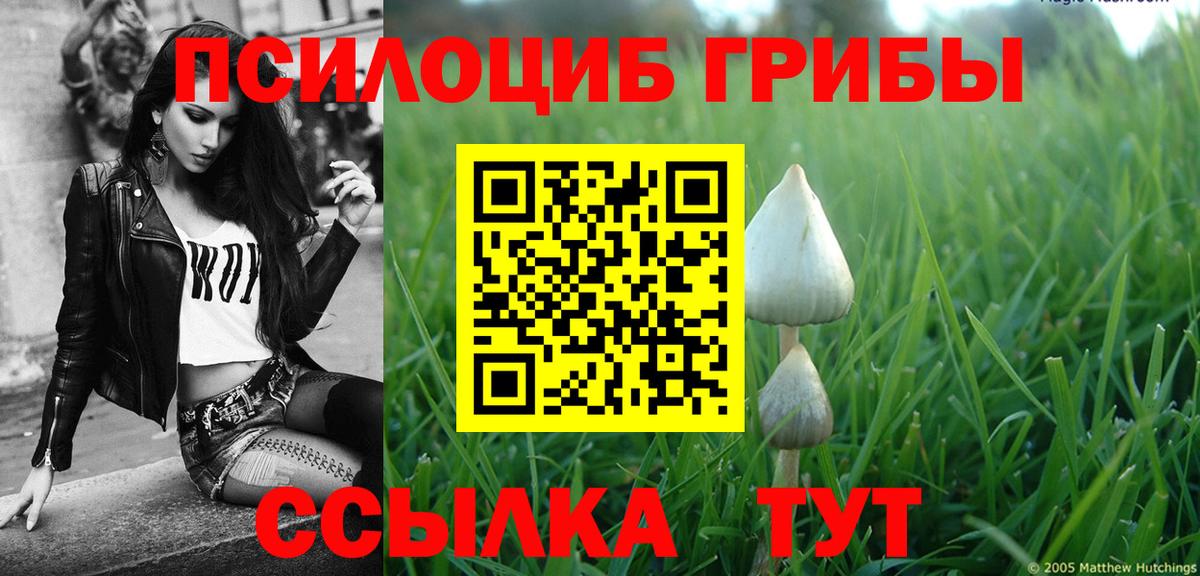 Псилоцибиновые грибы Psilocybine cubensis  Вход с VPN  Сыктывкар  Псилоцибиновые грибы Cubensis 